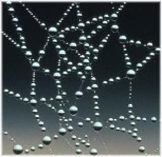 Water forming an intricate web pattern