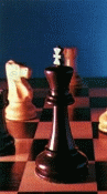 Leadership development for strategic players